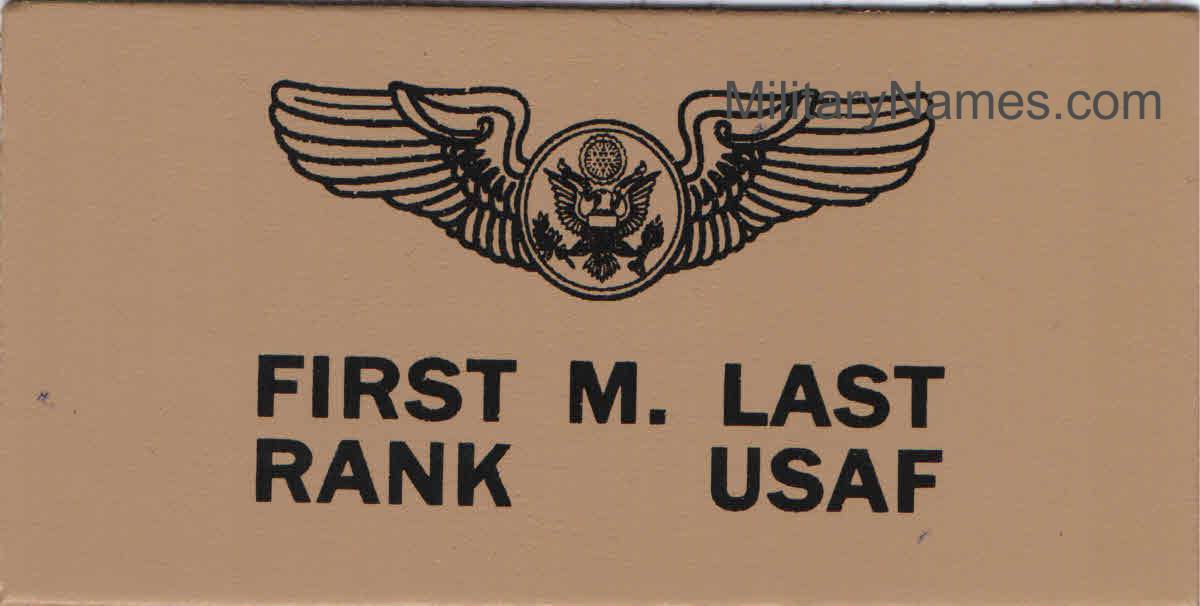 Air Force Tan Leather Badges